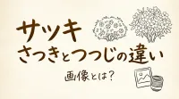 サツキ さつきとつつじの違い 画像とは？
