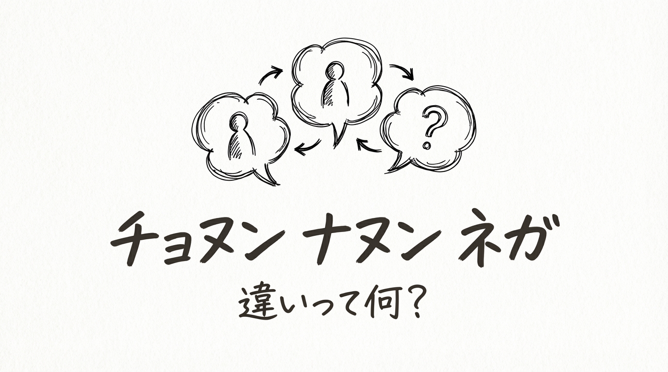 チョヌン ナヌン ネガ 違いって何？
