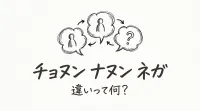 チョヌン ナヌン ネガ 違いって何？