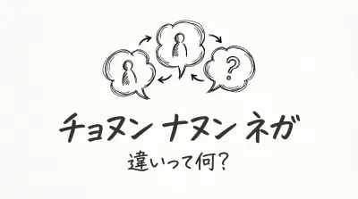 チョヌン ナヌン ネガ 違いって何？