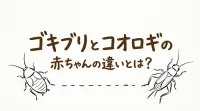 ゴキブリとコオロギの赤ちゃんの違いとは？