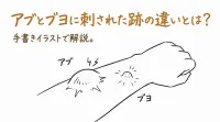 アブとブヨに刺された跡の違いとは？