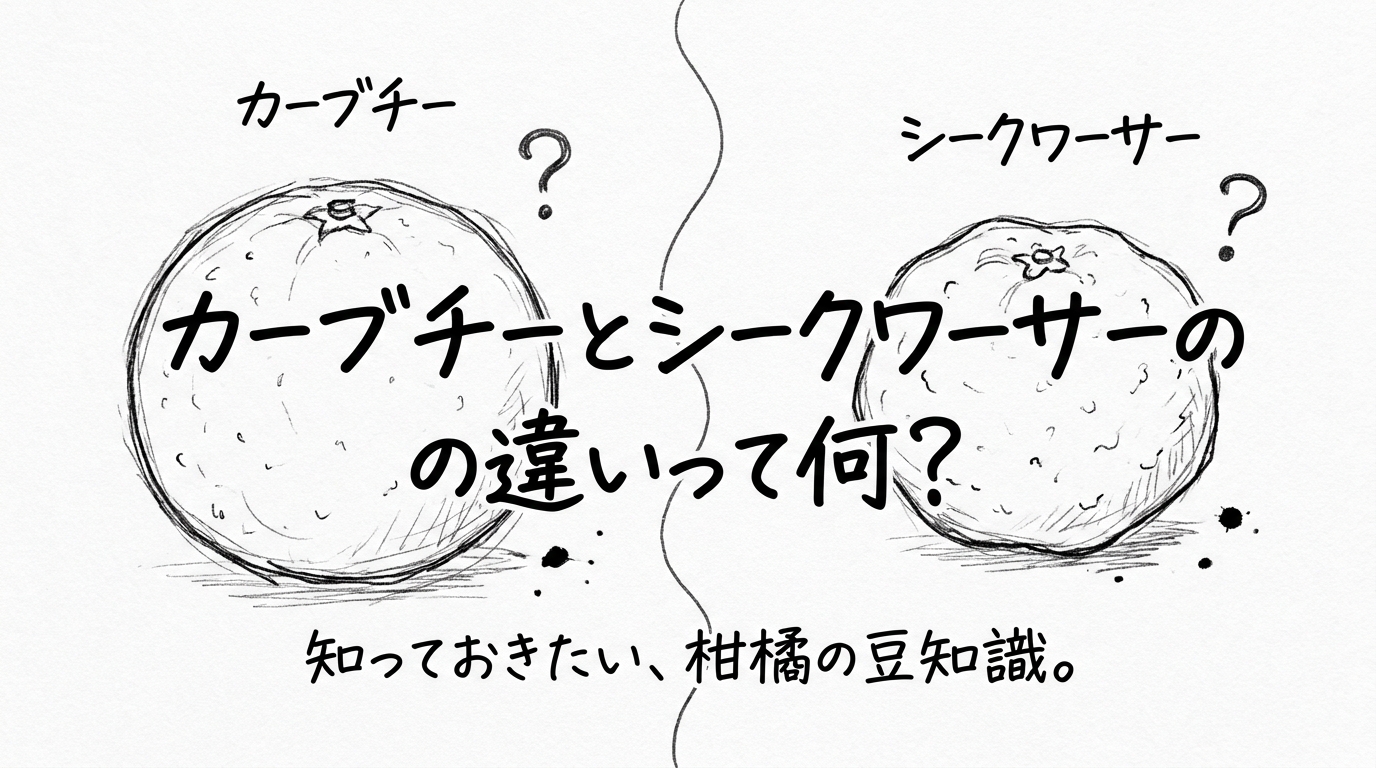 カーブチーとシークワーサーの違いって何？