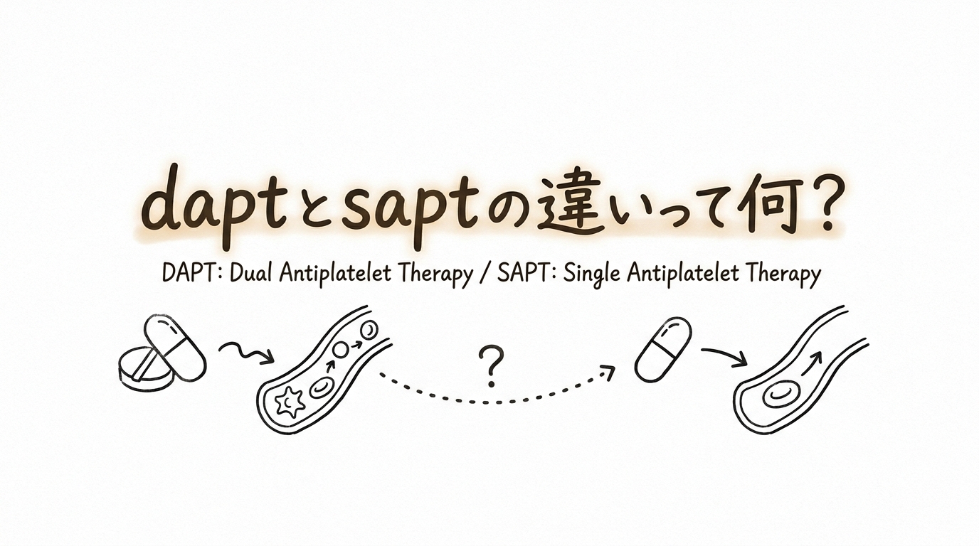 daptとsaptの違いって何？