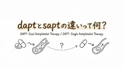 daptとsaptの違いって何？