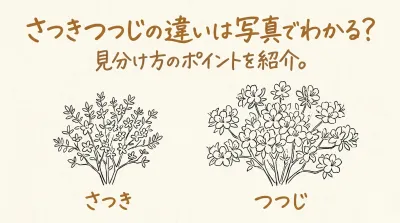 さつきつつじの違いは写真でわかる？