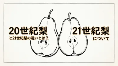 20世紀梨と21世紀梨の違いとは？