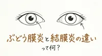 ぶどう膜炎と結膜炎の違いって何？