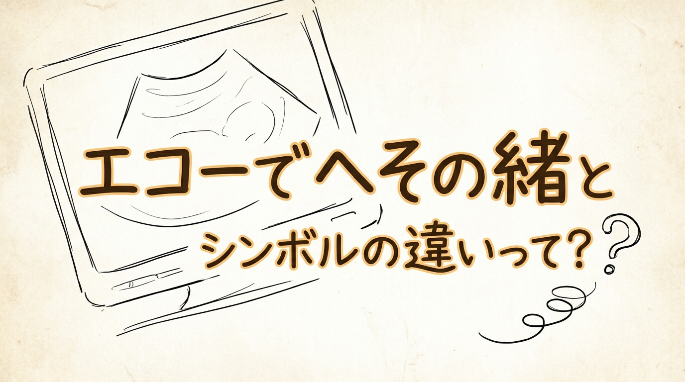 エコーでへその緒とシンボルの違いって？