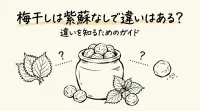 梅干しは紫蘇なしで違いはある？