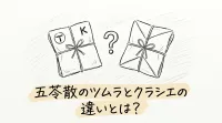 五苓散のツムラとクラシエの違いとは？