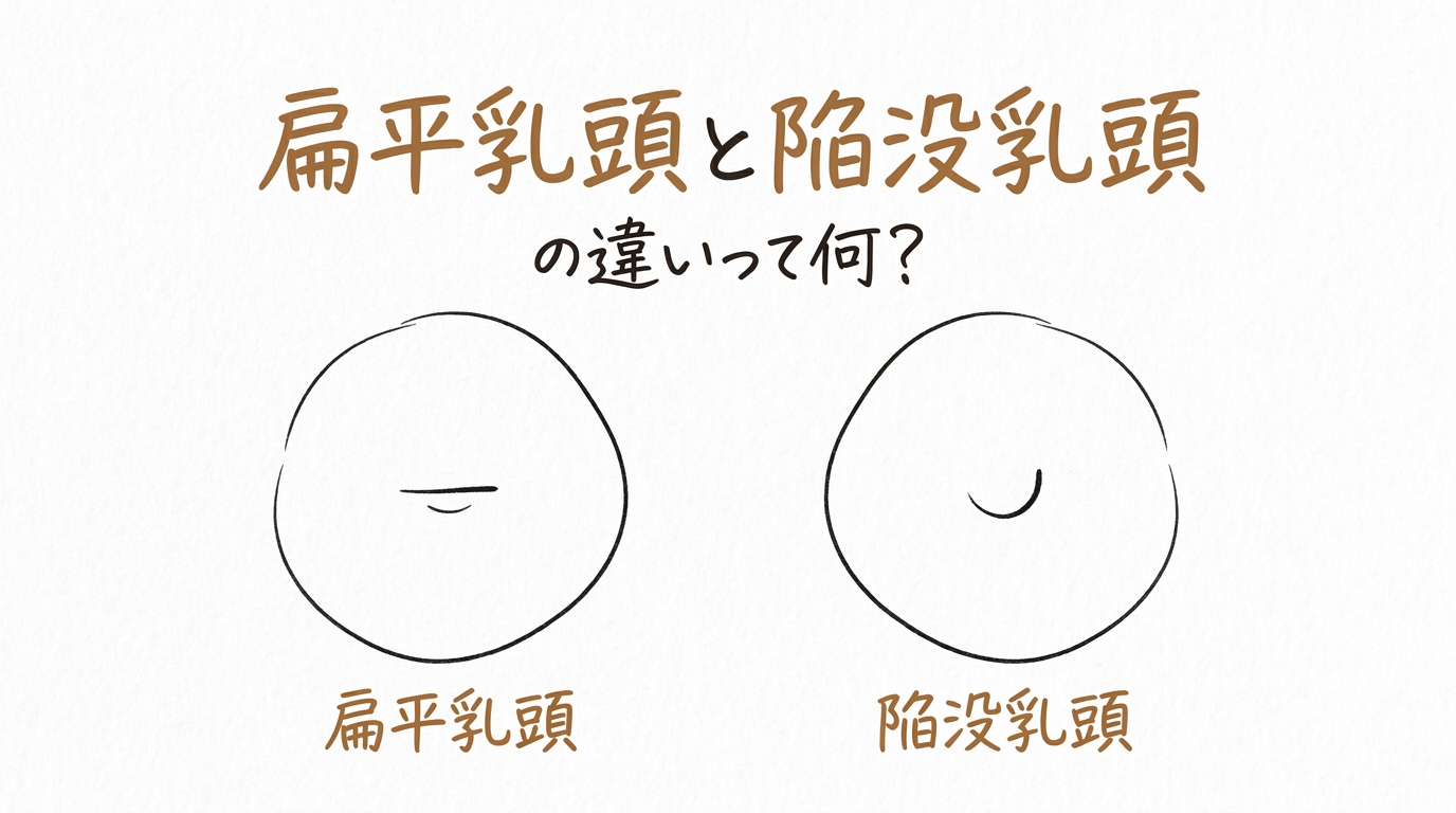 扁平乳頭と陥没乳頭の違いって何？