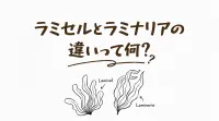 ラミセルとラミナリアの違いって何？