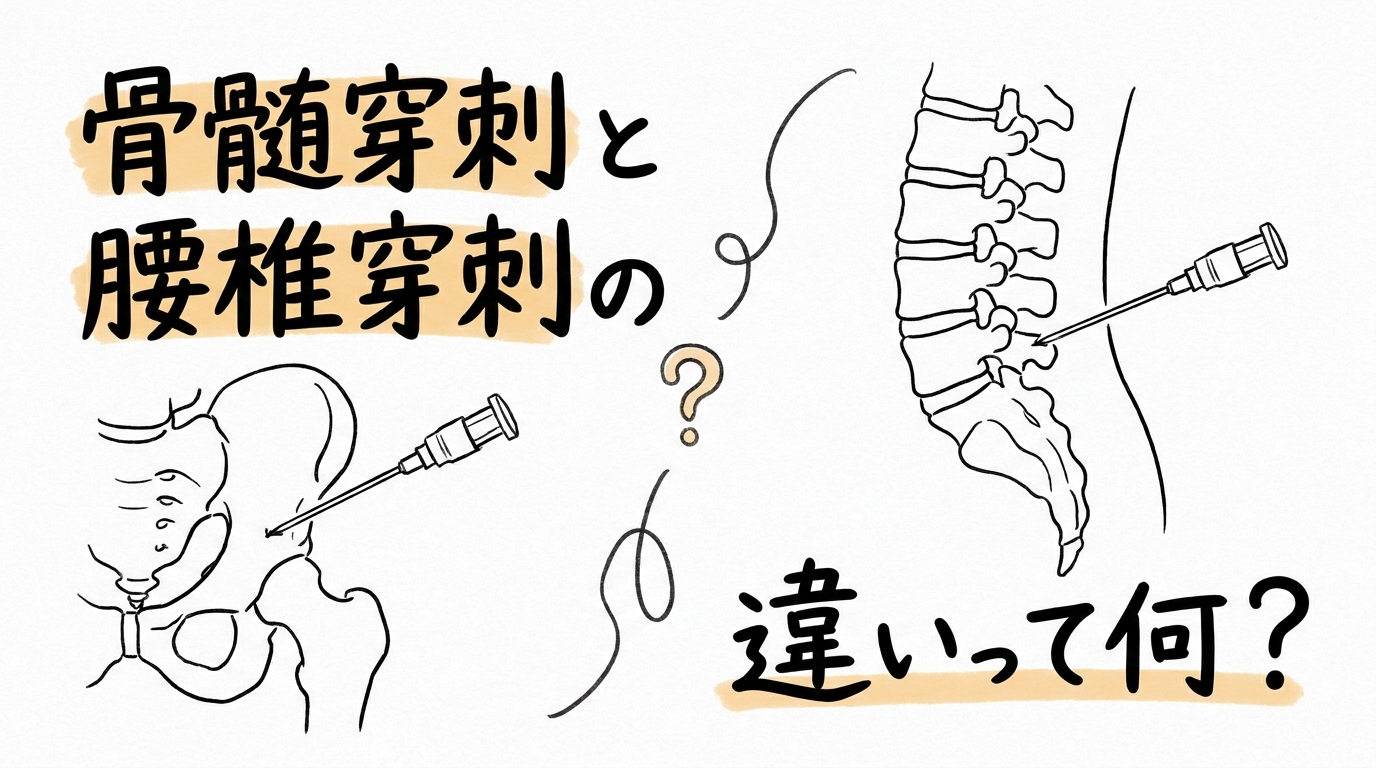骨髄穿刺と腰椎穿刺の違いって何?