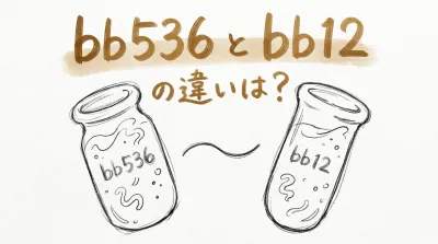 bb536 と bb12 の違いは？