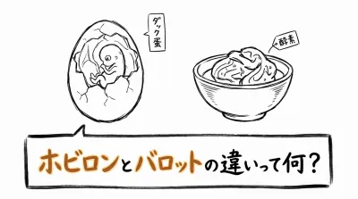 ホビロンとバロットの違いって何？