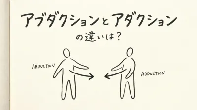 アブダクションとアダクションの違いは？