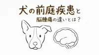 犬の前庭疾患と脳腫瘍の違いとは？