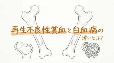 再生不良性貧血と白血病の違いとは？